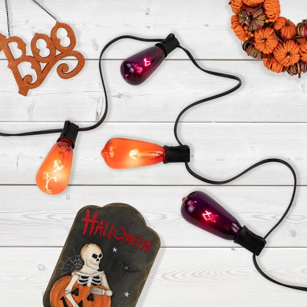 Northlight Seasonal 10ct. Purple & Orange Edison Halloween Lights