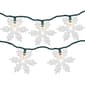 Northlight Seasonal 6ft. Glittered Snowflake Christmas Light Set - image 1