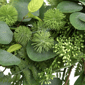 Northlight 24in. Seeded Eucalyptus with Sweet Gum Flowers Wreath - image 6