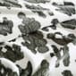 Wrangler Cactus Garden Throw Blanket - image 5