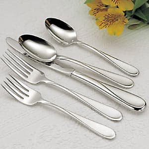 Oneida Flight 45pc. Silverware Set