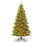National Tree 6.5ft. Slim Asbury  Fir Christmas Tree - image 1