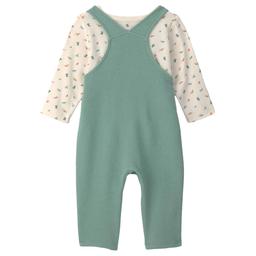 Baby Boy (NB-12M) Carter''s Ib Dino Print Overall Set