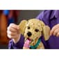 LEGO® Icons Golden Retriever Puppy - image 14