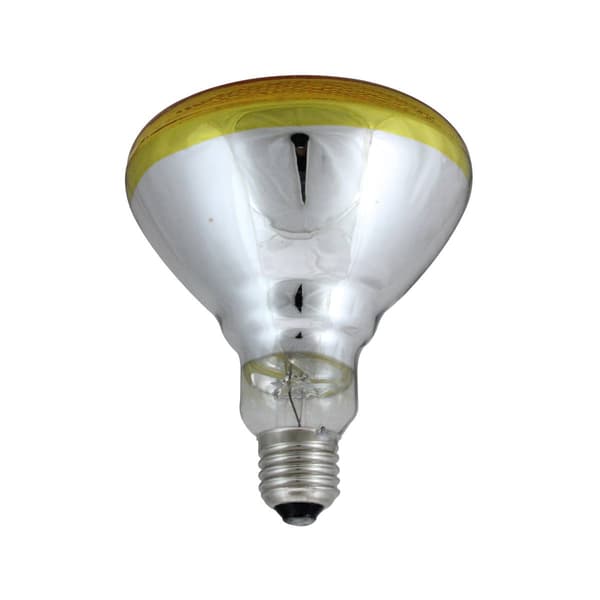 Northlight Seasonal 100 Watt Incandescent Floodlight Bulb