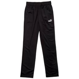 Boys (8-20) Puma(R) Foundation Essential Pants - Puma Black