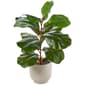 Life-Like Fiddle Plant - image 1
