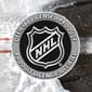 Franklin® NHL Goal Corner Shooting Targets - image 8