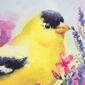Northlight 40in. Welcome Yellow Finch Spring House Flag - image 6