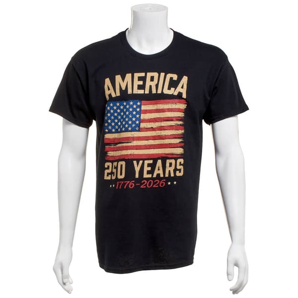 Mens Home of the Brave Tattered Flag Graphic Tee - image 