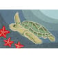 Liora Manne Frontporch Sea Turtle Rectangle Accent Rug - image 1