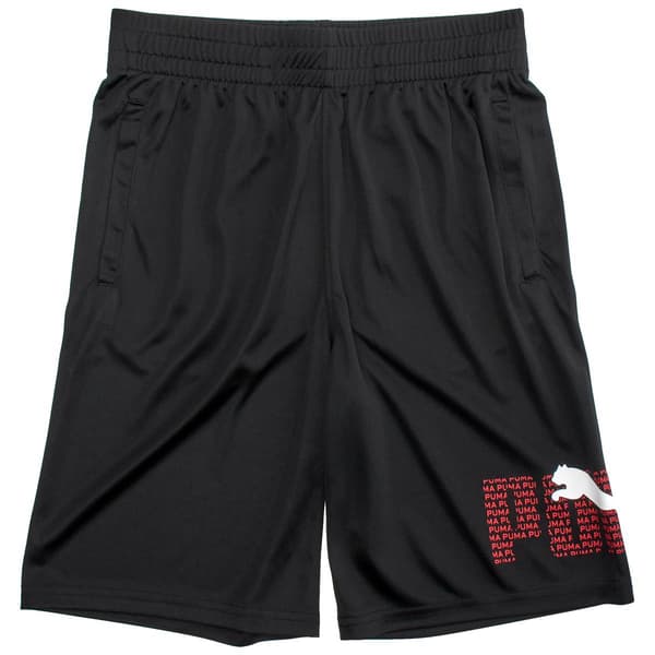 Boys &#40;8-20&#41; Puma&#40;R&#41; Logo Lab Shorts - image 
