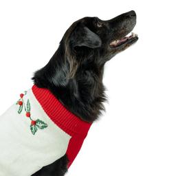 Holly Berry Pet Sweater