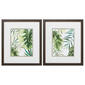 Propac Images&#40;R&#41; Tropical Mix Wall Art - Set Of 2 - image 1