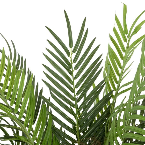 Northlight Seasonal 47in. Artificial Phoenix Palm Potted Tree