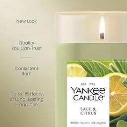 Yankee Candle® 14.25oz. Sage & Citrus Pillar Candle