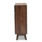 Baxton Studio Hartman Walnut Brown Finished Wood Shoe Cabinet - image 4
