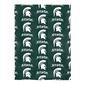 Northwest Michigan State Spartans Bed in a Bag - image 2