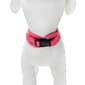 Best Furry Friends Ombre Graphic Pet Harness - image 3