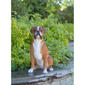 Hi-Line Gift Sitting Boxer Garden Statue - image 5