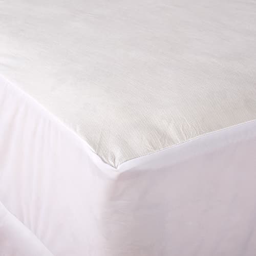 All-In-One Mattress Protector w/Bed Bug Blocker