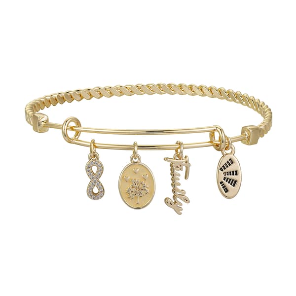 Shine Family Cubic Zirconia Infinity & Tree Twist Bangle