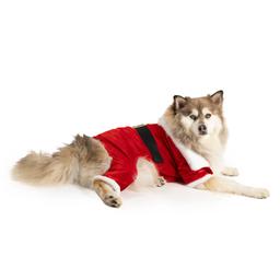 Santa Pet Pajamas
