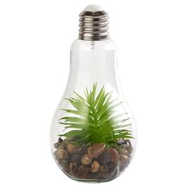 Edison Bulb with Life-Like Succulent