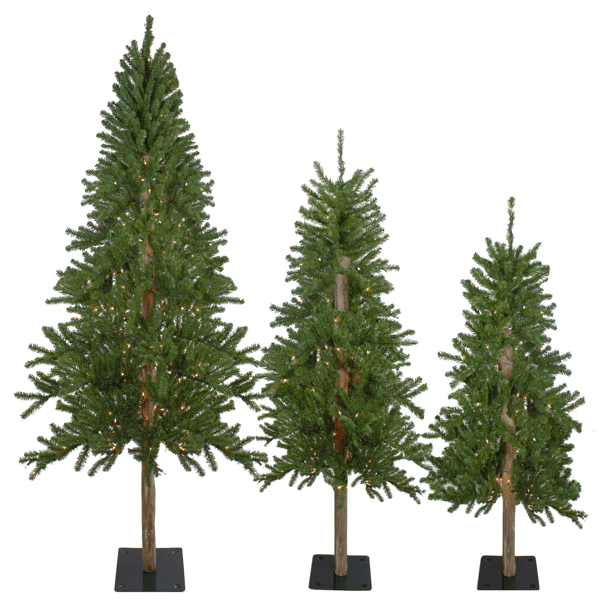 Northlight 6ft. Pre-Lit Slim Alpine Christmas Trees - Set of 3