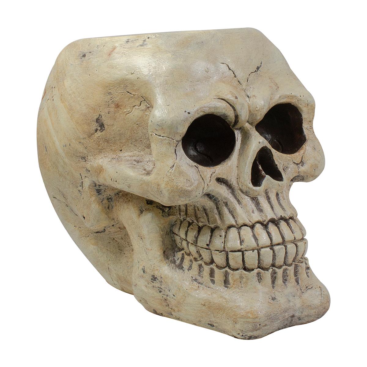 Northlight Seasonal 11in. Ivory Halloween Skull Tabletop...