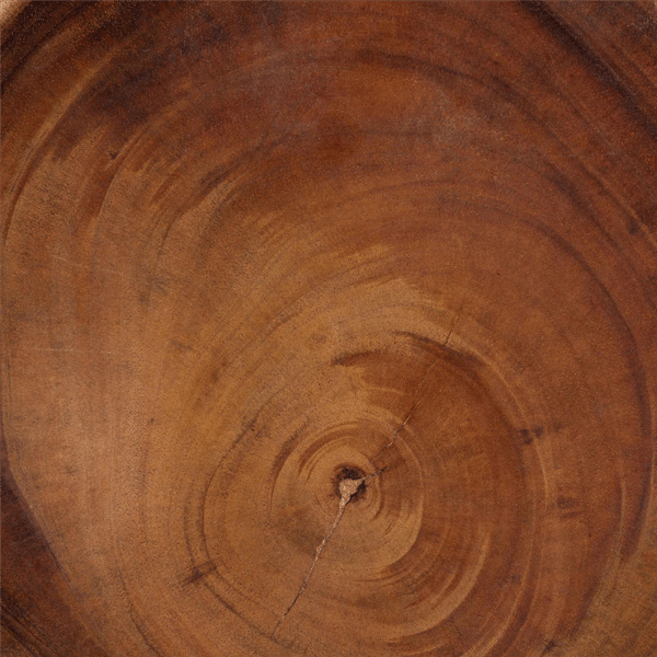 bali & pari Jia Suar Wood End Table