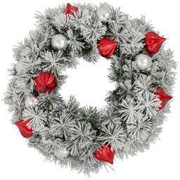 Northlight Dual Color LED Snowy Bristle Pine Christmas Wreath