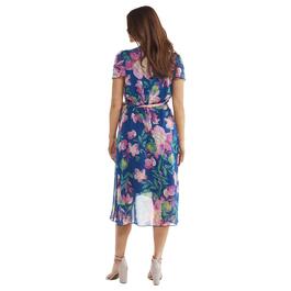 Plus Size Ellen Weaver Chiffon Print High Low Hem Dress