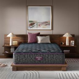 Beautyrest World Class Level 3 Plush Mattress