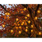 Halloween String Lights with 20 Orange G40 Plastic Bulb Covers - image 3