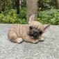 Hi-Line Gift Resting French Bulldog Garden Statue - image 5