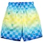 Boys (8-20) SURFZONE(R) Checkered Palms Swim Trunks - image 1