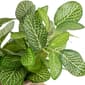 Northlight Seasonal Artificial Spring Foliage Potted Plant - image 5