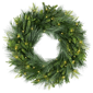 Puleo International 24in Pre-Lit Warm White LED Artificial Wreath - image 1