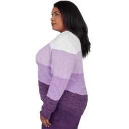 Plus Size Alfred Dunner Vail Color Block Cable Chenille Sweater
