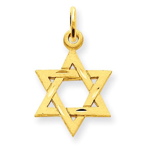 Gold Classics(tm) 14kt. Satin Star of David Charm