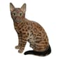 Hi-Line Gift Petite Brown Sitting Bengal Garden Statue - image 1
