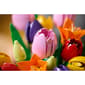 LEGO® Botanicals Tulip Bouquet Building Kit - image 10