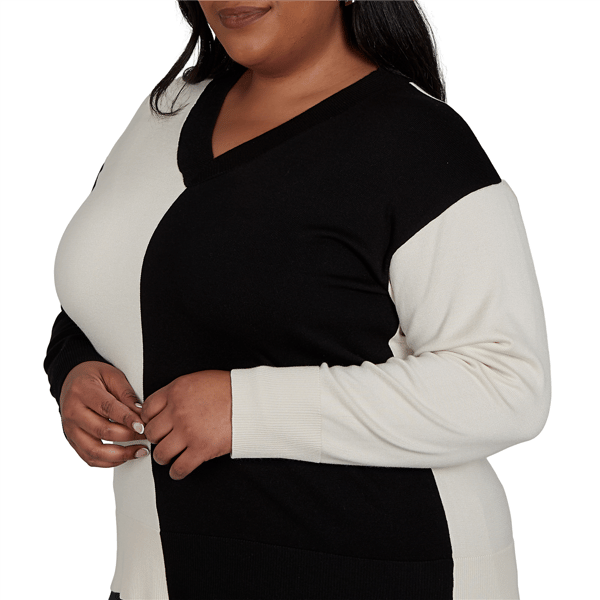 Plus Size Skye’s the Limit Signature Sweaters Color Block Sweater