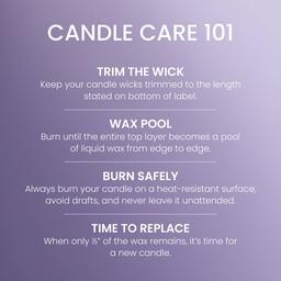 Yankee Candle® 22oz. Lemon Lavender Jar Candle