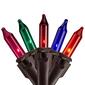 Northlight Seasonal 100ct. Multi-Color Mini Christmas Lights - image 1