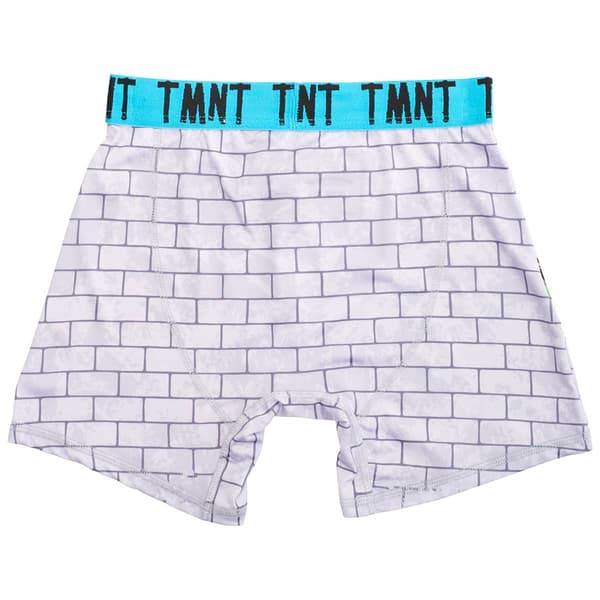 Boys Handcraft TMNT Out of Sewer Athletic Boxer Briefs Underwear