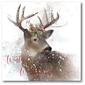 Courtside Market Winter Wonderland Deer Wrapped Canvas Wall Art - image 1