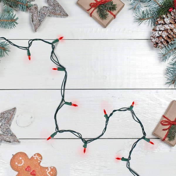 Northlight Seasonal 50ct. Red LED Christmas Lights - Green Wire