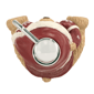 Avanti Teddy Bear Soap & Lotion Dispenser - image 4